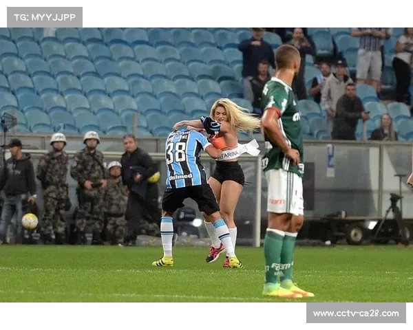 莱维事故促巴西立法，强制球场年检制度