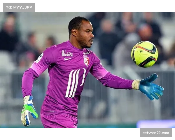 法甲将引入新型门线技术，精度提升至毫米级